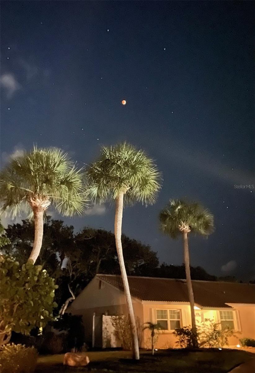 Image 12 of 12 For 540 Neptune Avenue 7