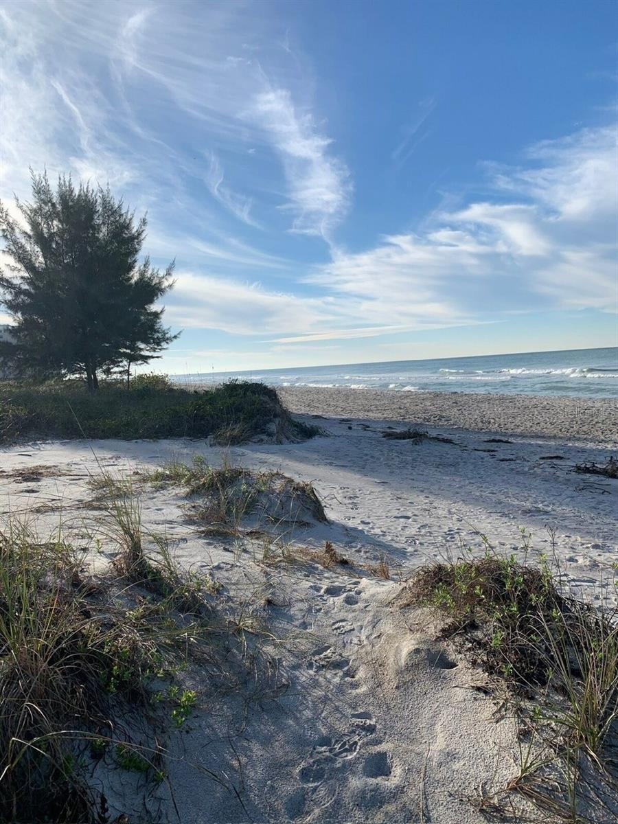 Image 8 of 12 For 540 Neptune Avenue 7