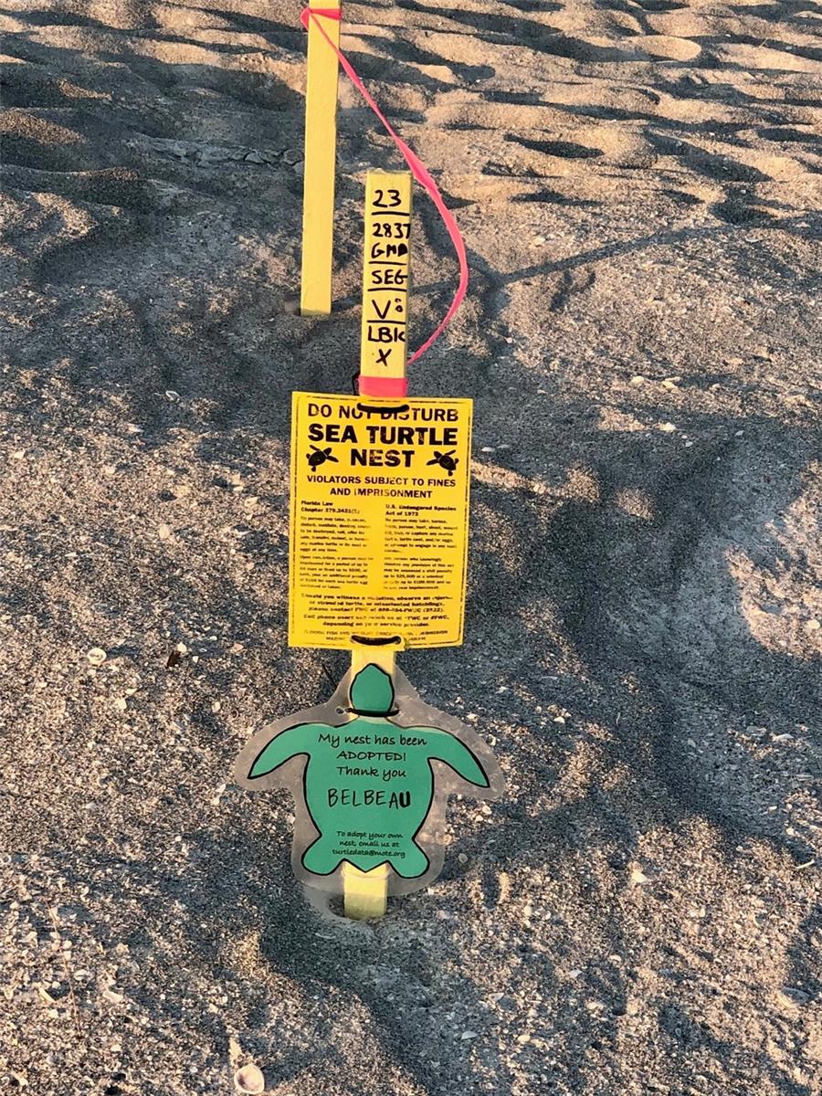 Image 9 of 12 For 540 Neptune Avenue 7