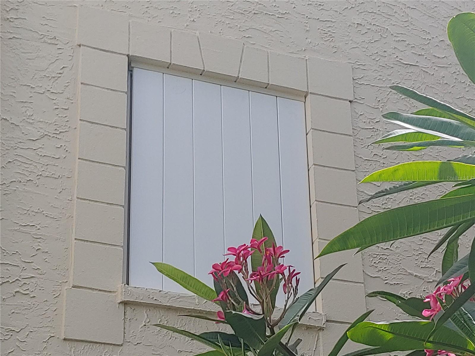 Image 33 of 57 For 6101 34th Street W 31h