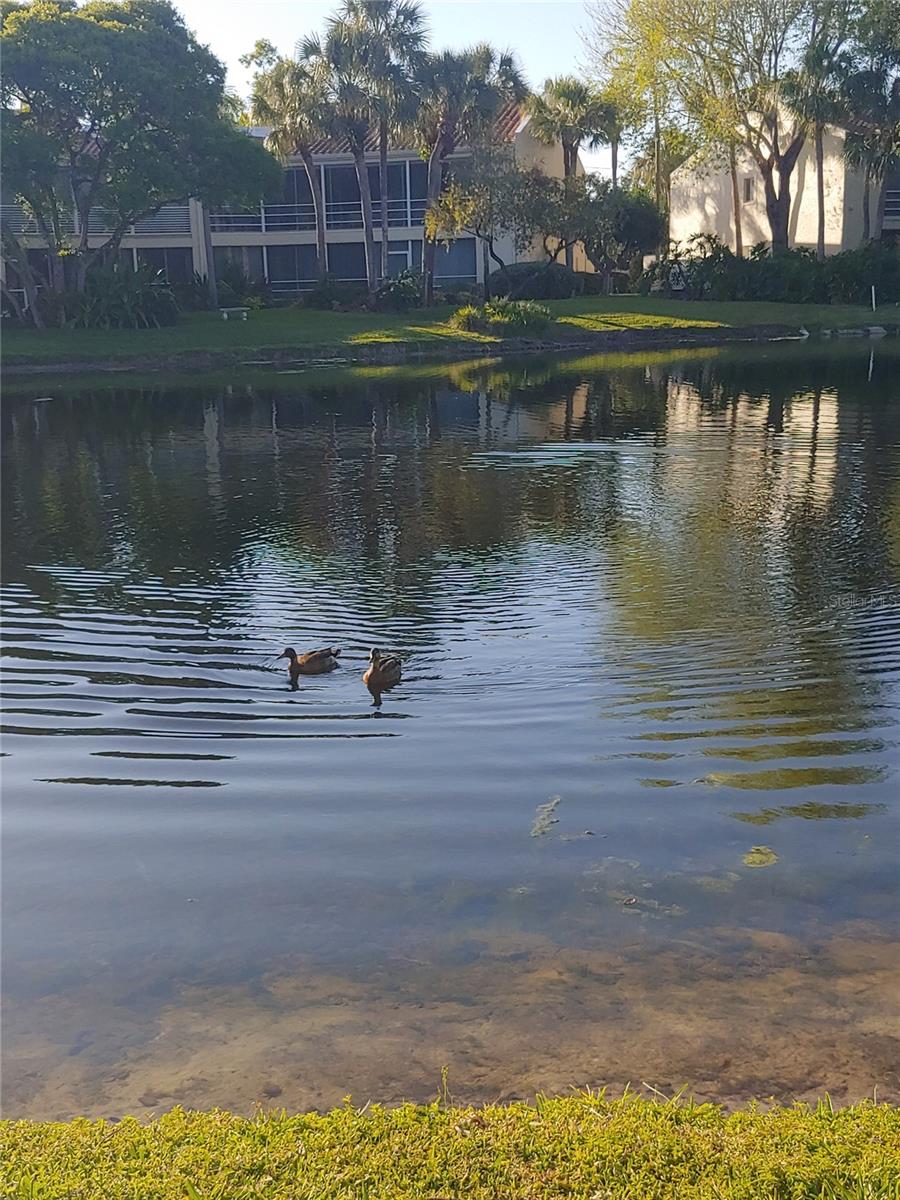 Image 50 of 57 For 6101 34th Street W 31h