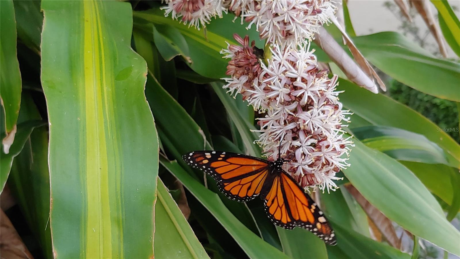 Image 53 of 57 For 6101 34th Street W 31h