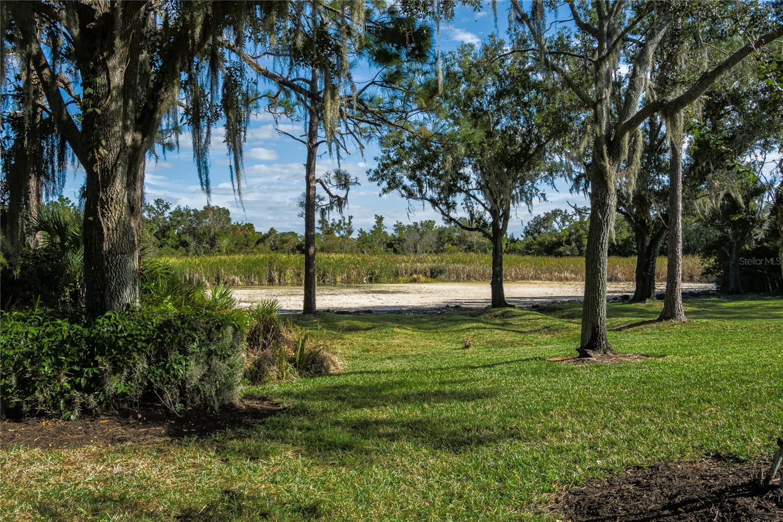 Image 29 of 36 For 7431 Edenmore Street