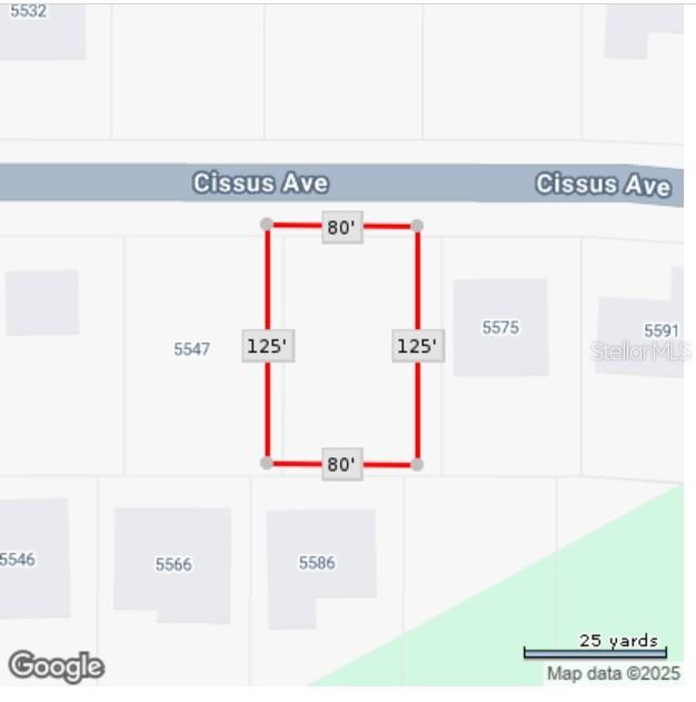 Image 3 of 3 For Cissus Avenue