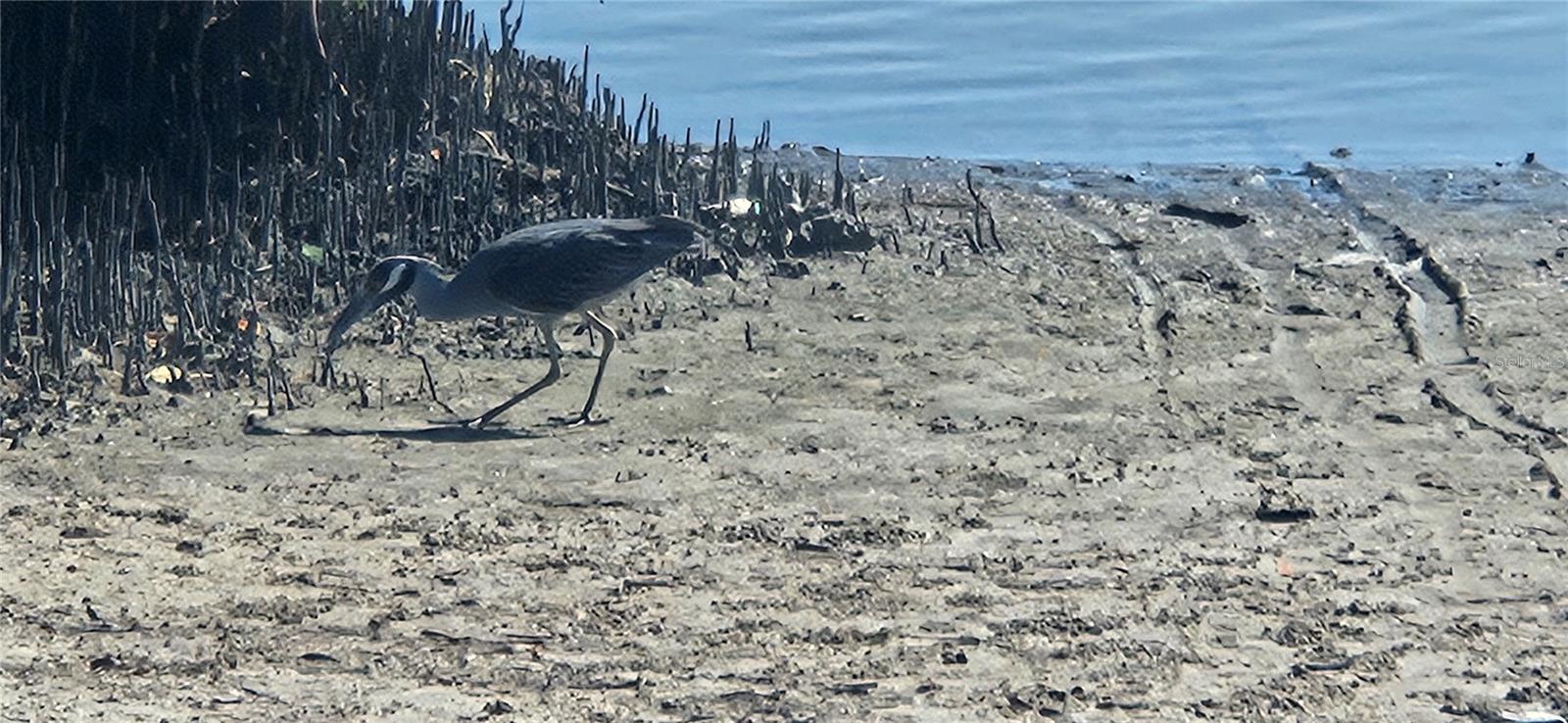 Image 28 of 31 For 6328 Georgia Avenue