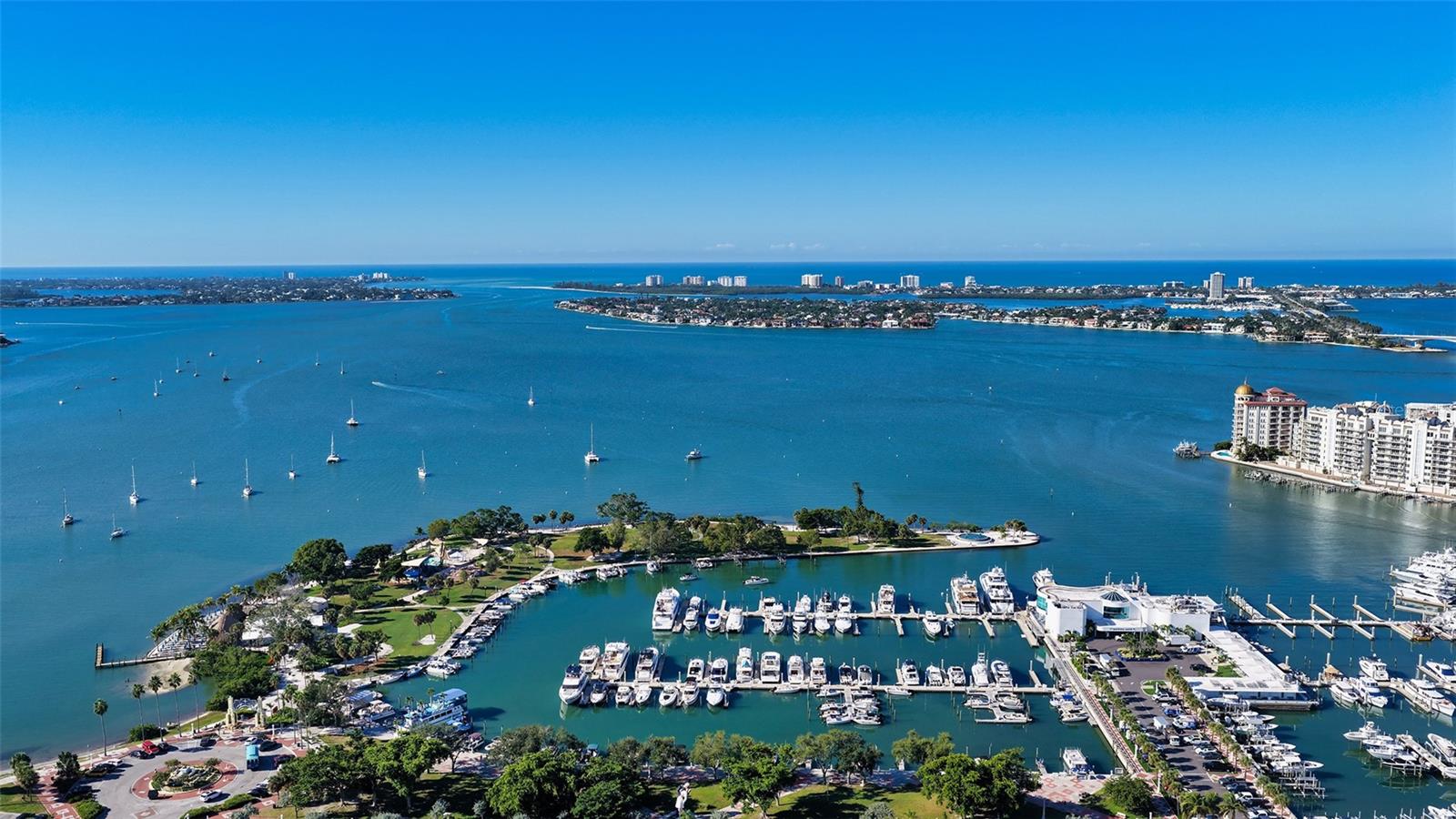 Image 48 of 53 For 33 Palm Avenue 803