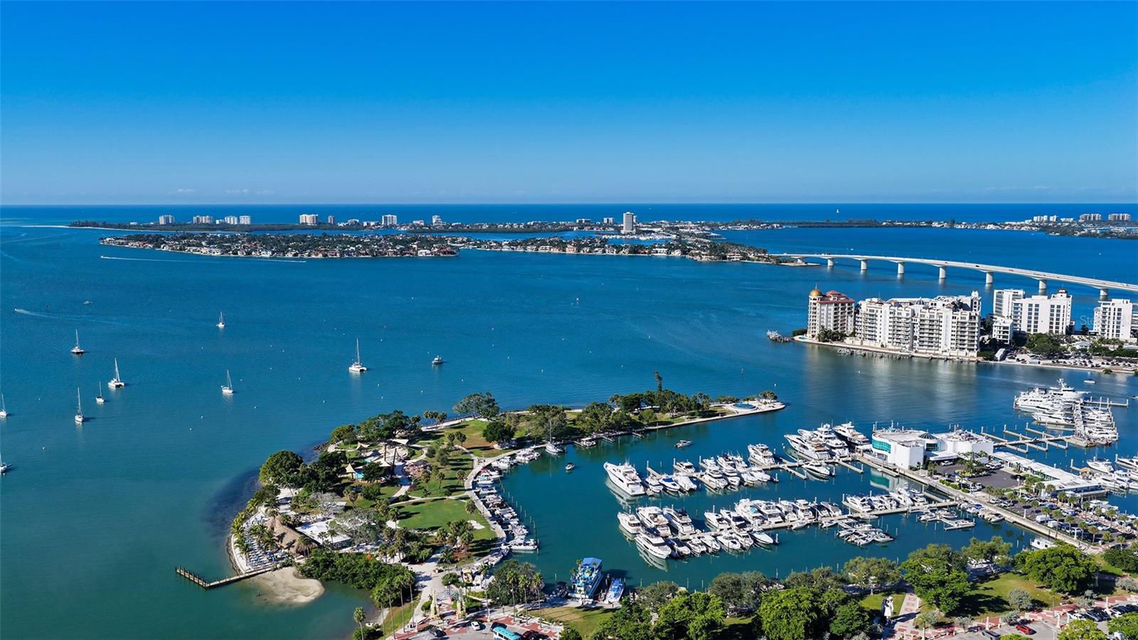 Image 49 of 53 For 33 Palm Avenue 803