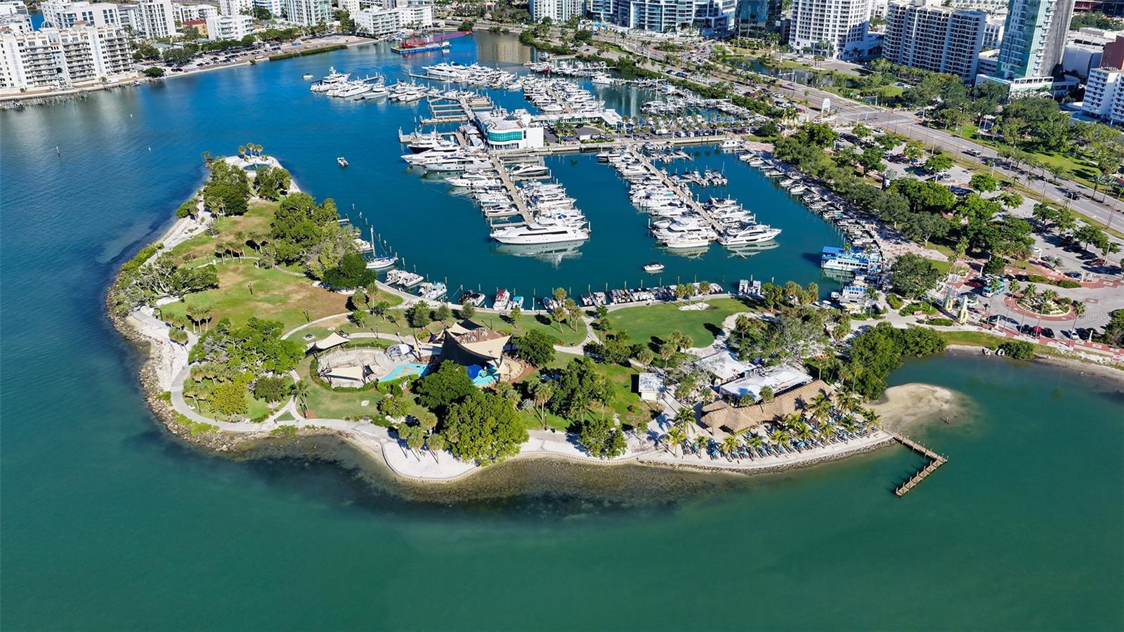 Image 51 of 53 For 33 Palm Avenue 803