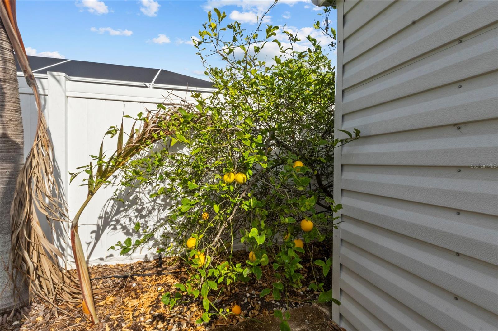 Image 28 of 31 For 6808 19th Avenue W