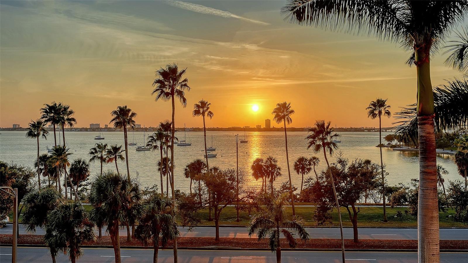 Image 29 of 62 For 500 Palm Avenue 31