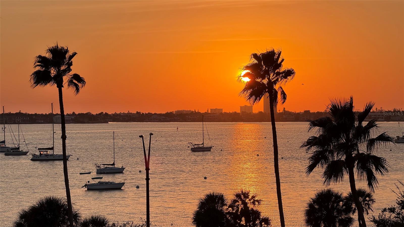 Image 50 of 62 For 500 Palm Avenue 31