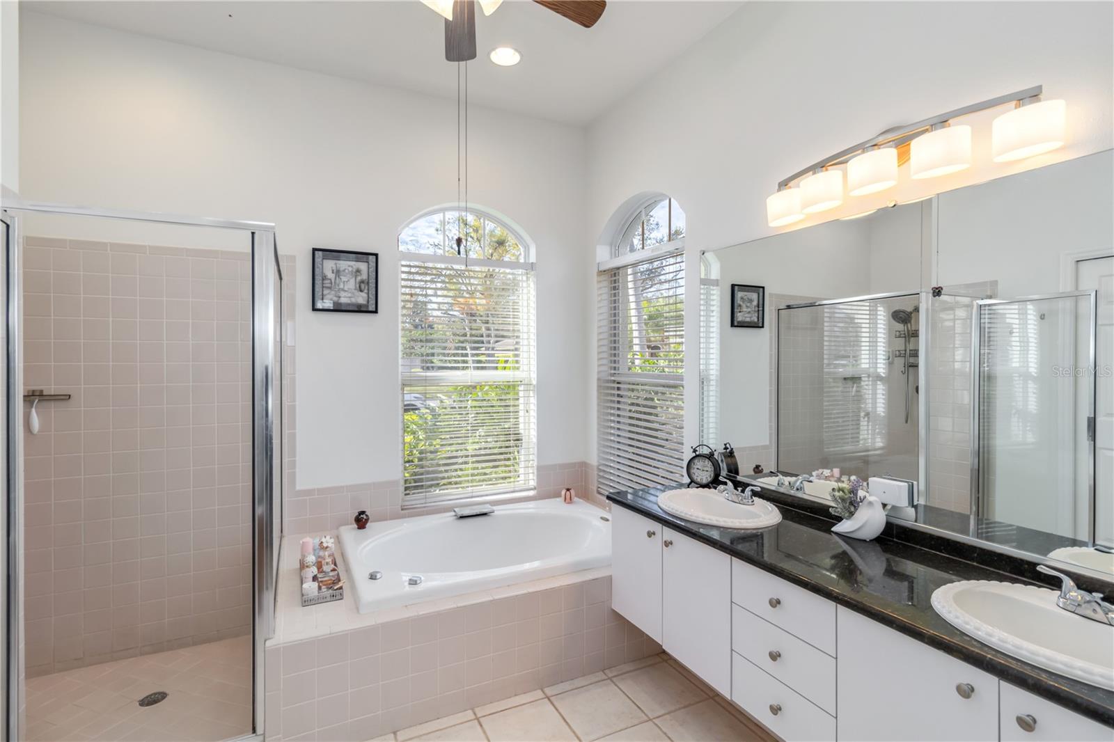 Image 20 of 63 For 10306 Palmbrooke Terrace