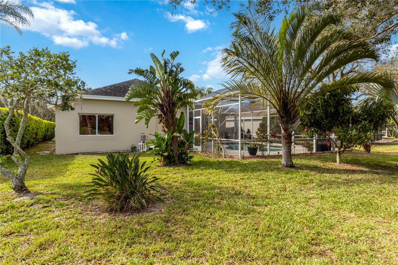 Image 44 of 63 For 10306 Palmbrooke Terrace