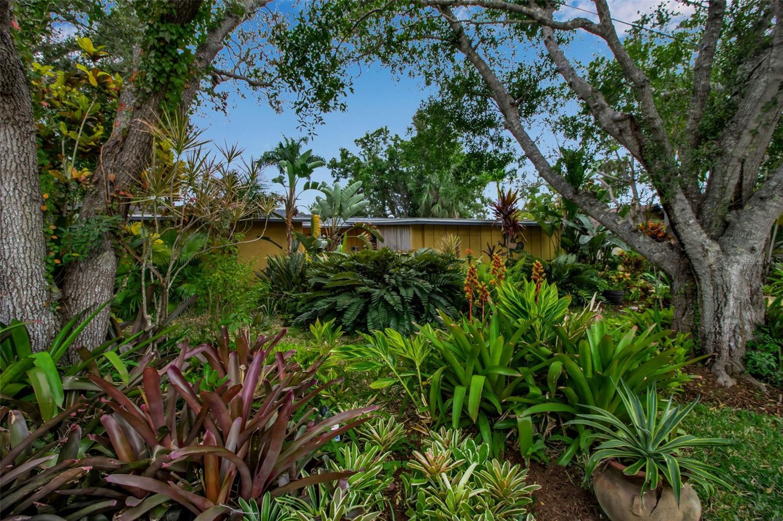 Image 62 of 76 For 1684 Spring Creek Drive