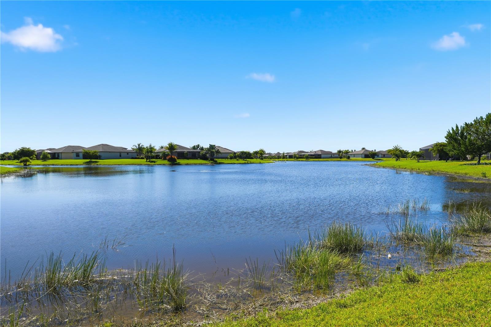 Image 48 of 51 For 14262 Mindello Drive