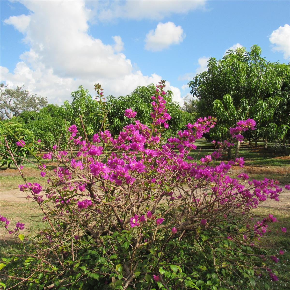 Image 38 of 61 For 21552 State Road 64