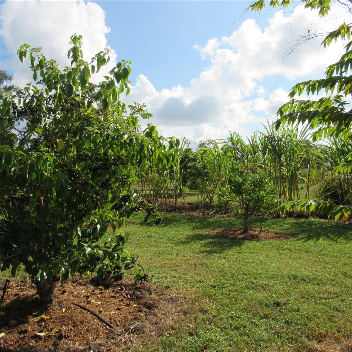 Image 40 of 61 For 21552 State Road 64