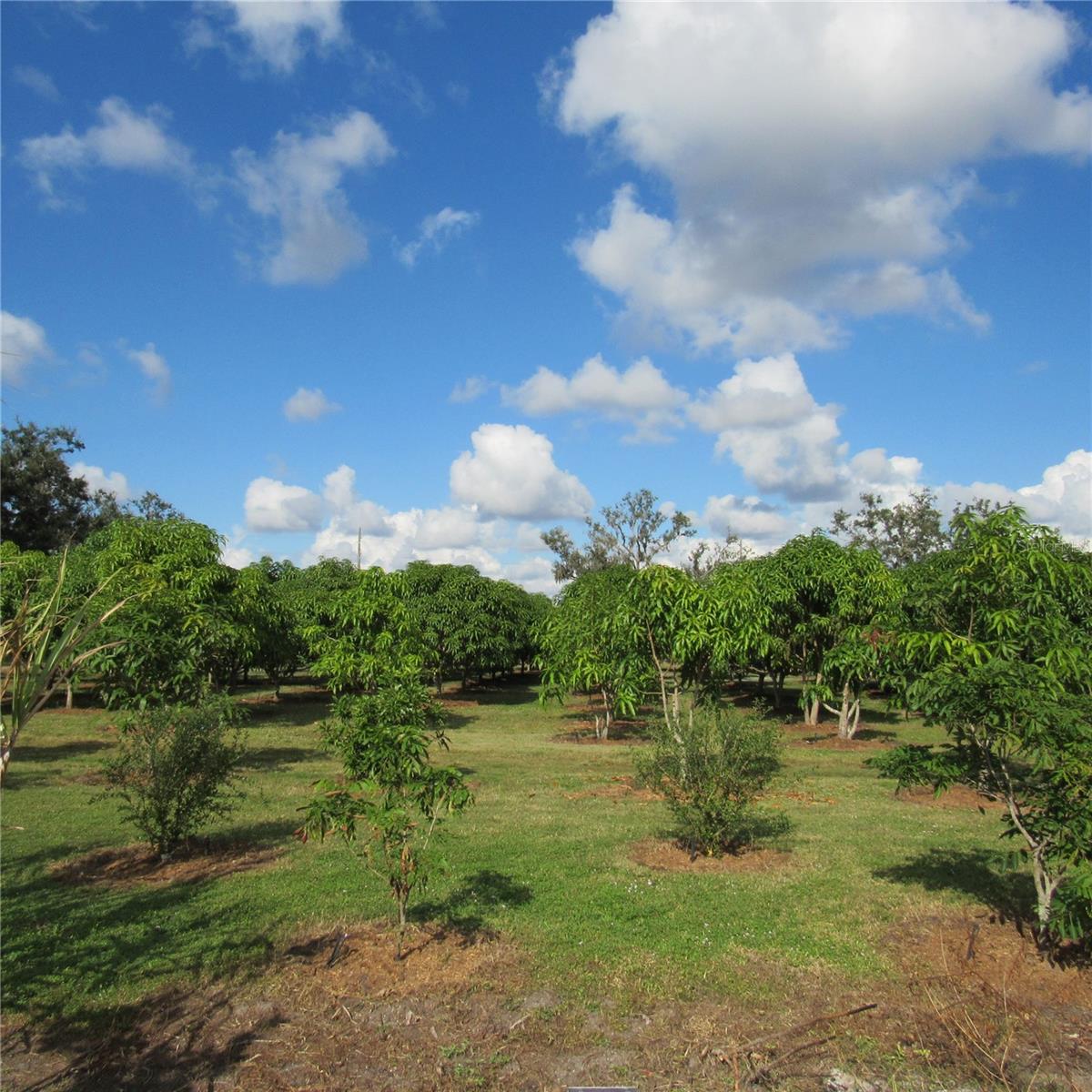 Image 55 of 61 For 21552 State Road 64