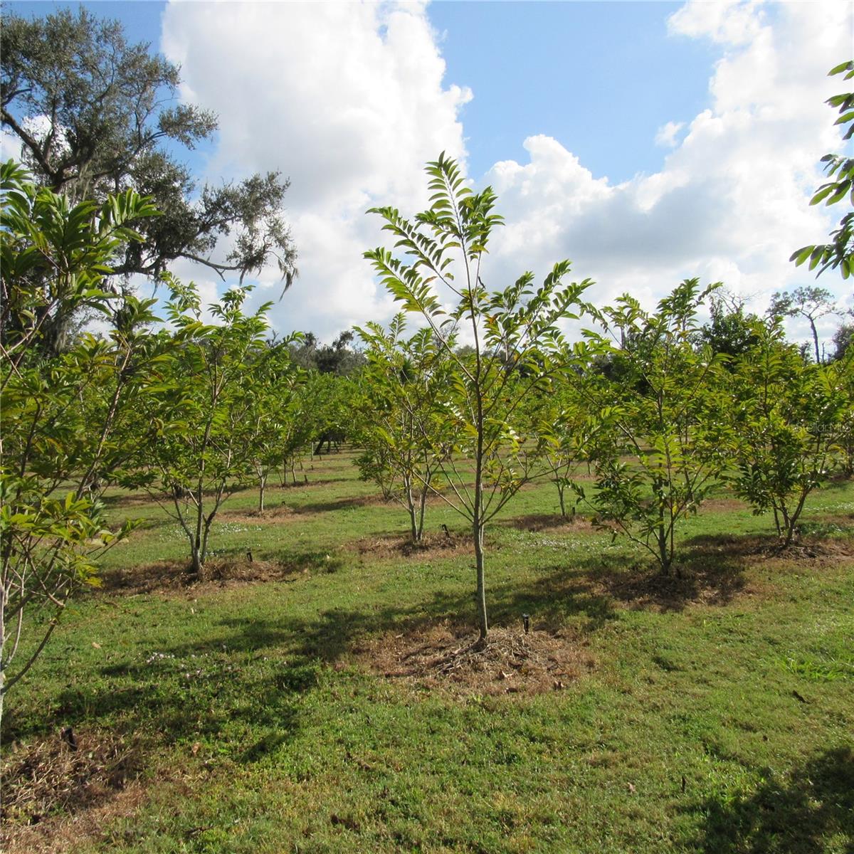 Image 61 of 61 For 21552 State Road 64