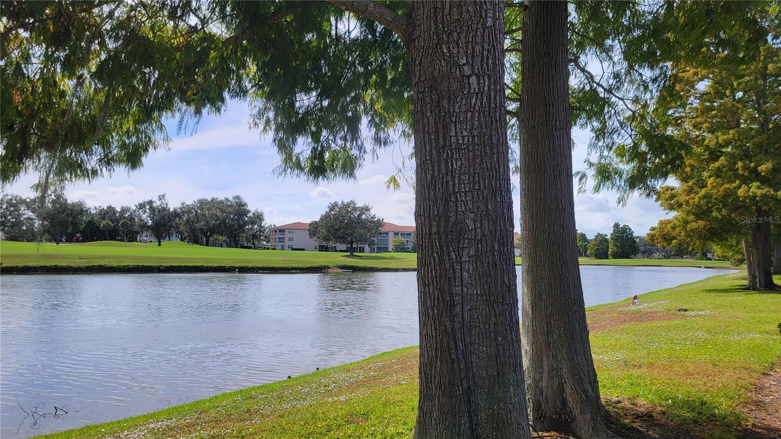 Image 3 of 80 For 6640 Pineview Terrace 6640