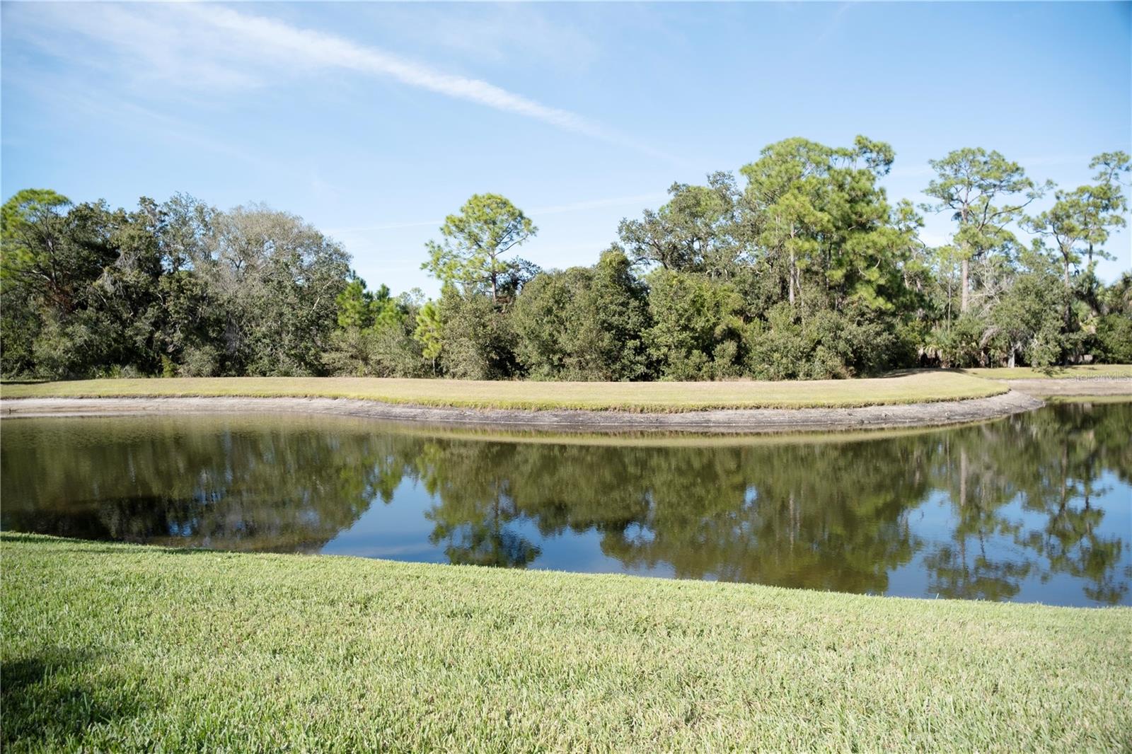 Image 34 of 40 For 11490 Blackfin Street