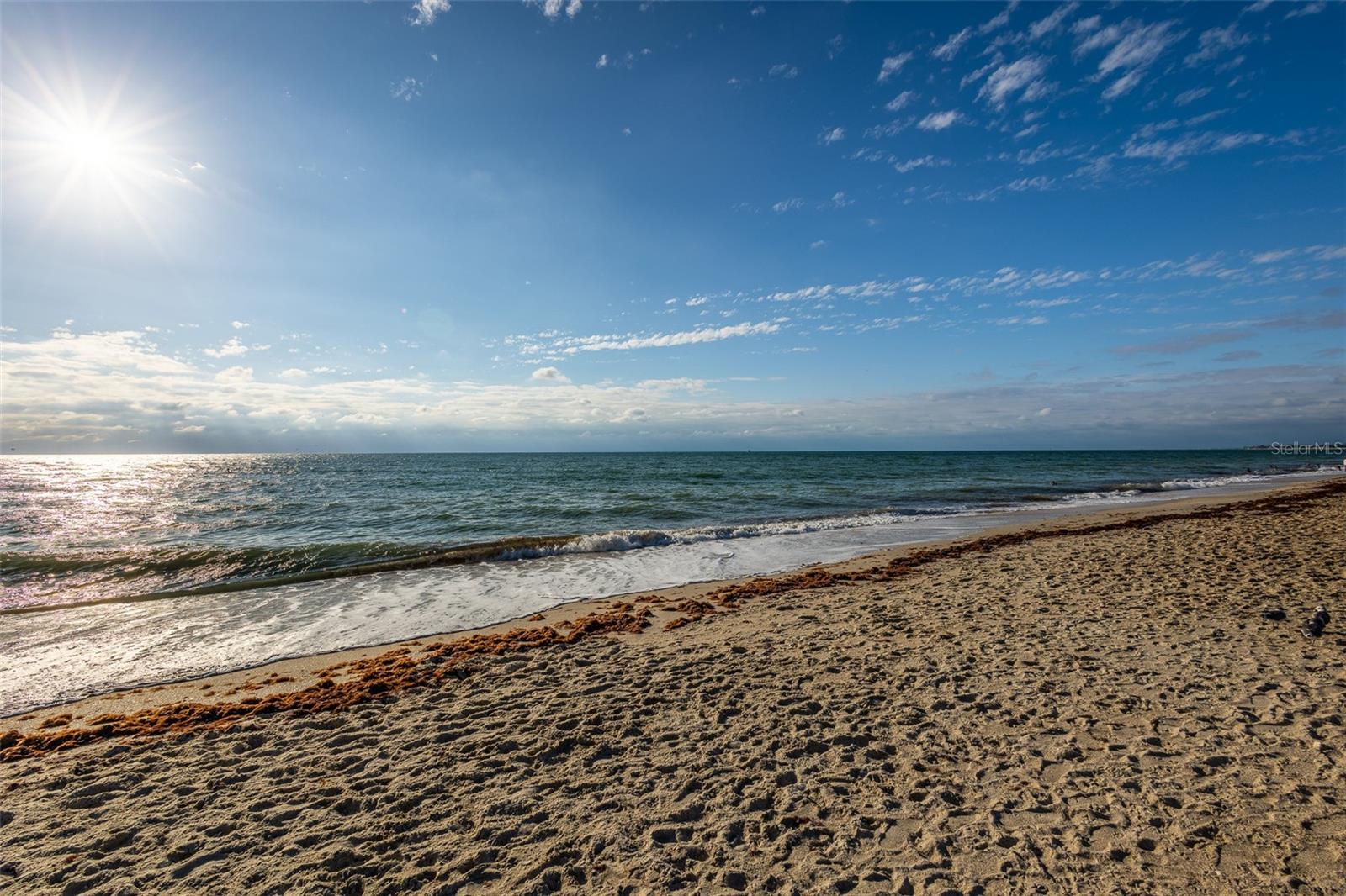 Image 28 of 31 For 17147 Blowfish Drive