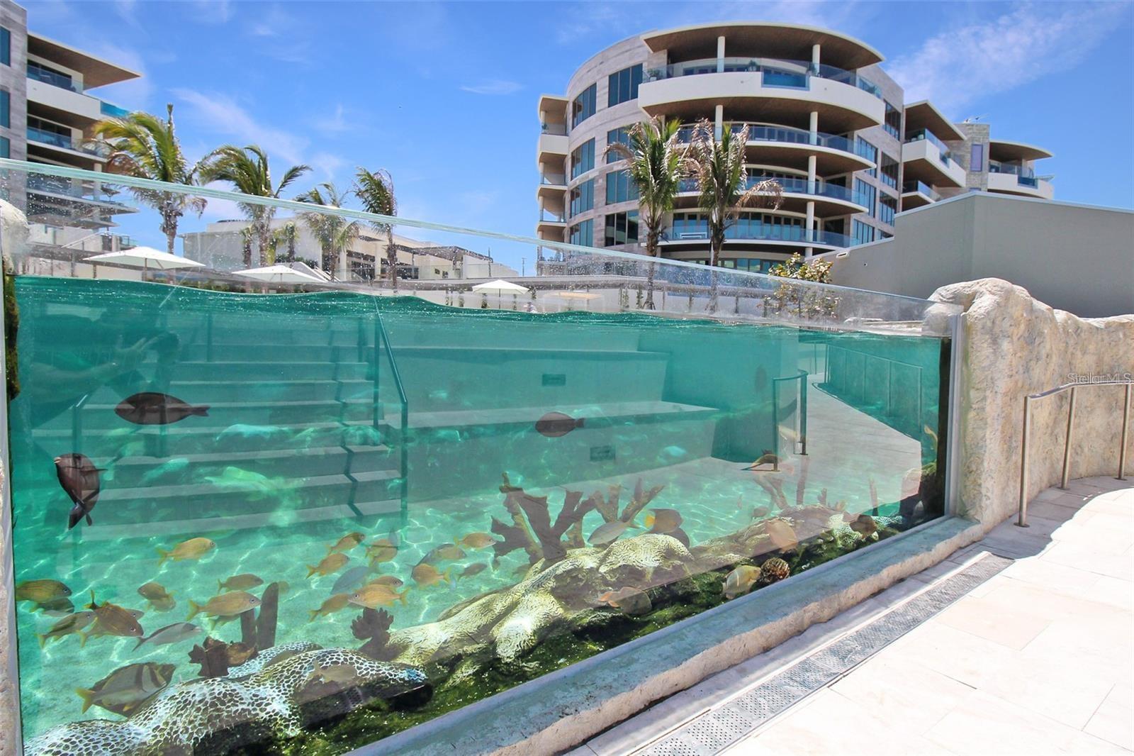 Image 54 of 83 For 1581 Gulf Of Mexico Drive 307