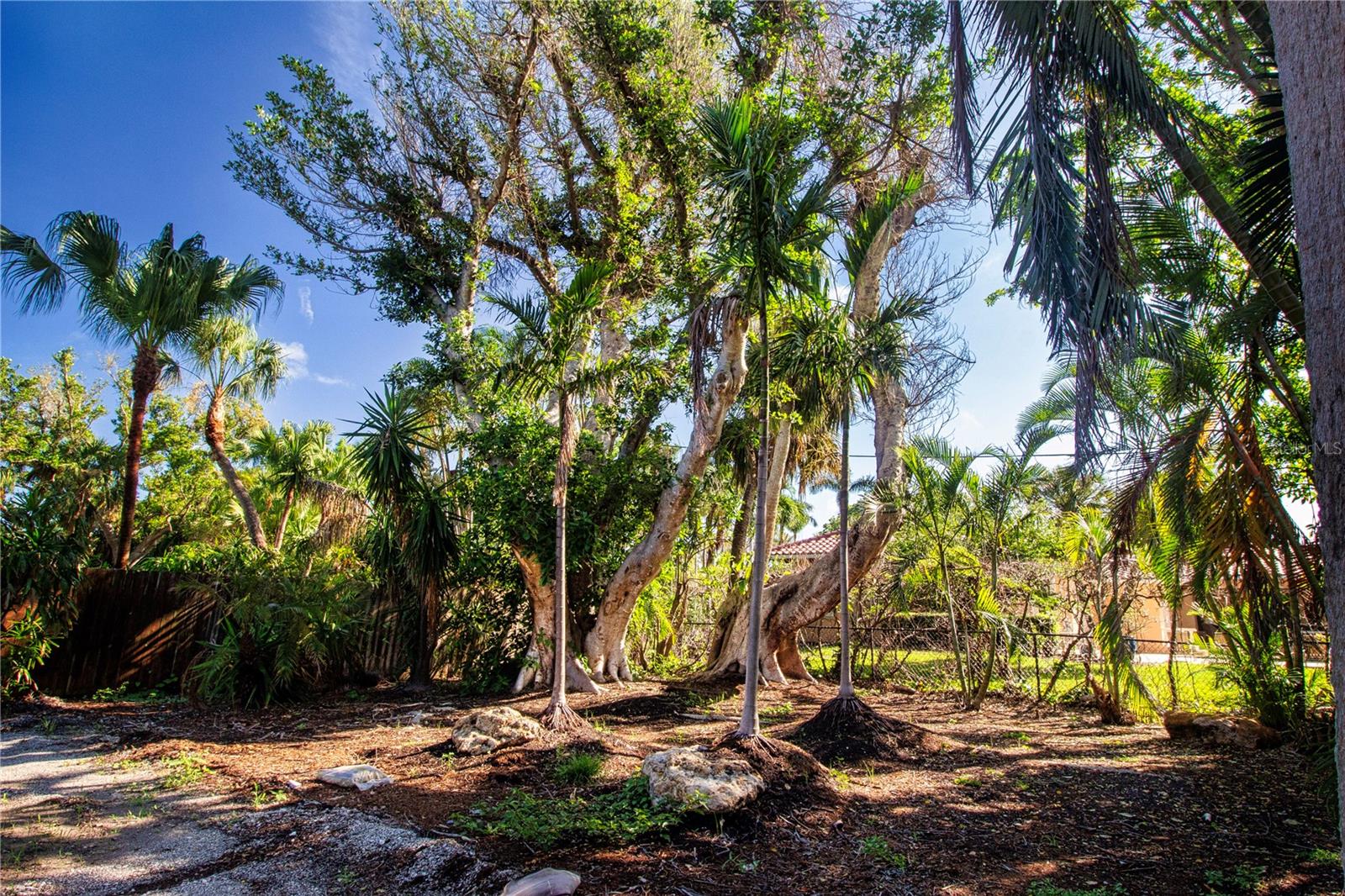 Image 6 of 16 For 51 Adams Drive