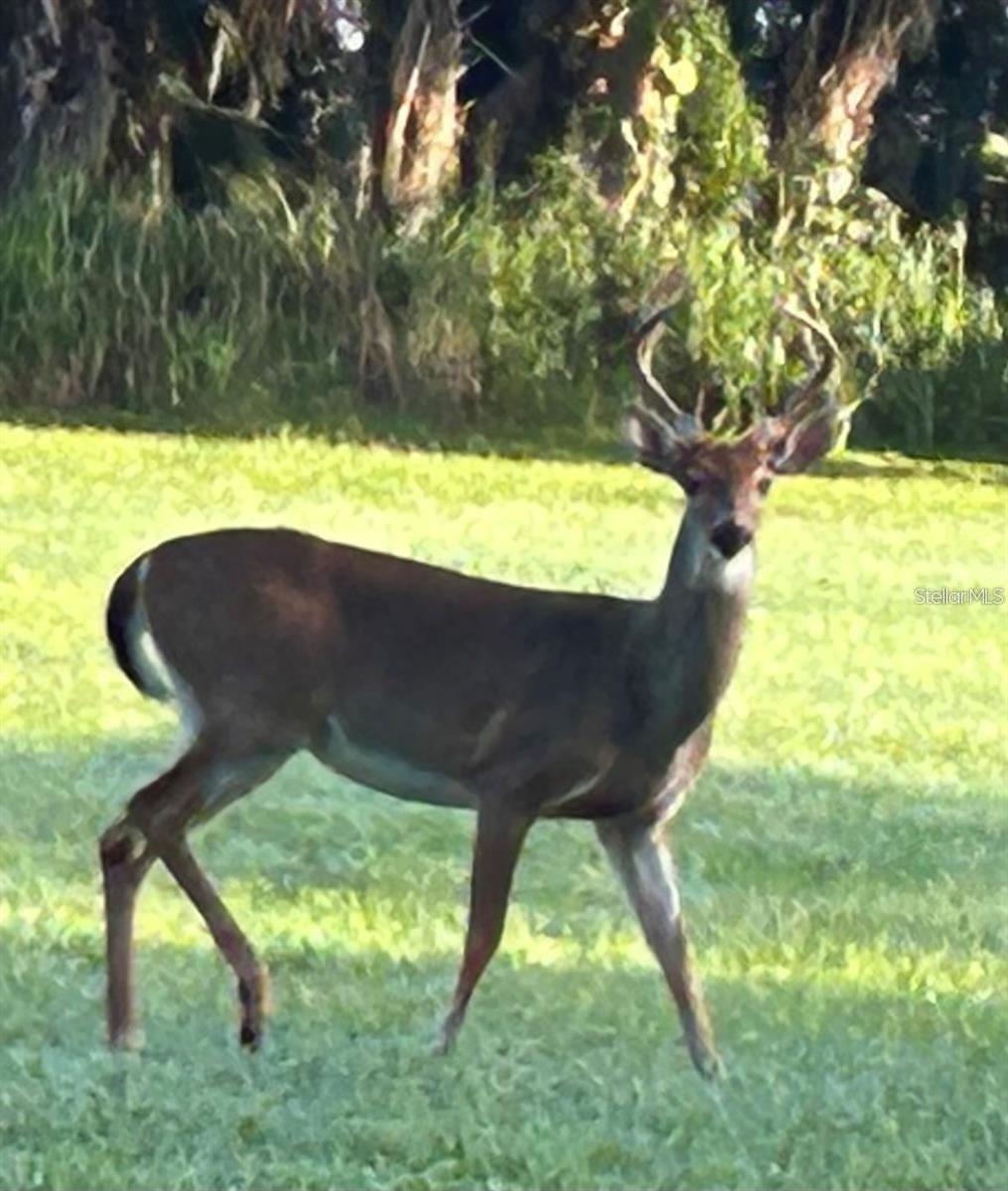 Image 50 of 53 For 4553 Charing Cross Road