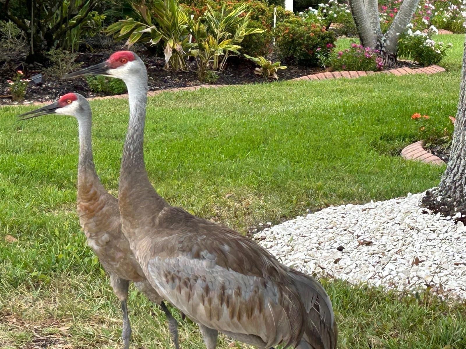 Image 51 of 53 For 4553 Charing Cross Road