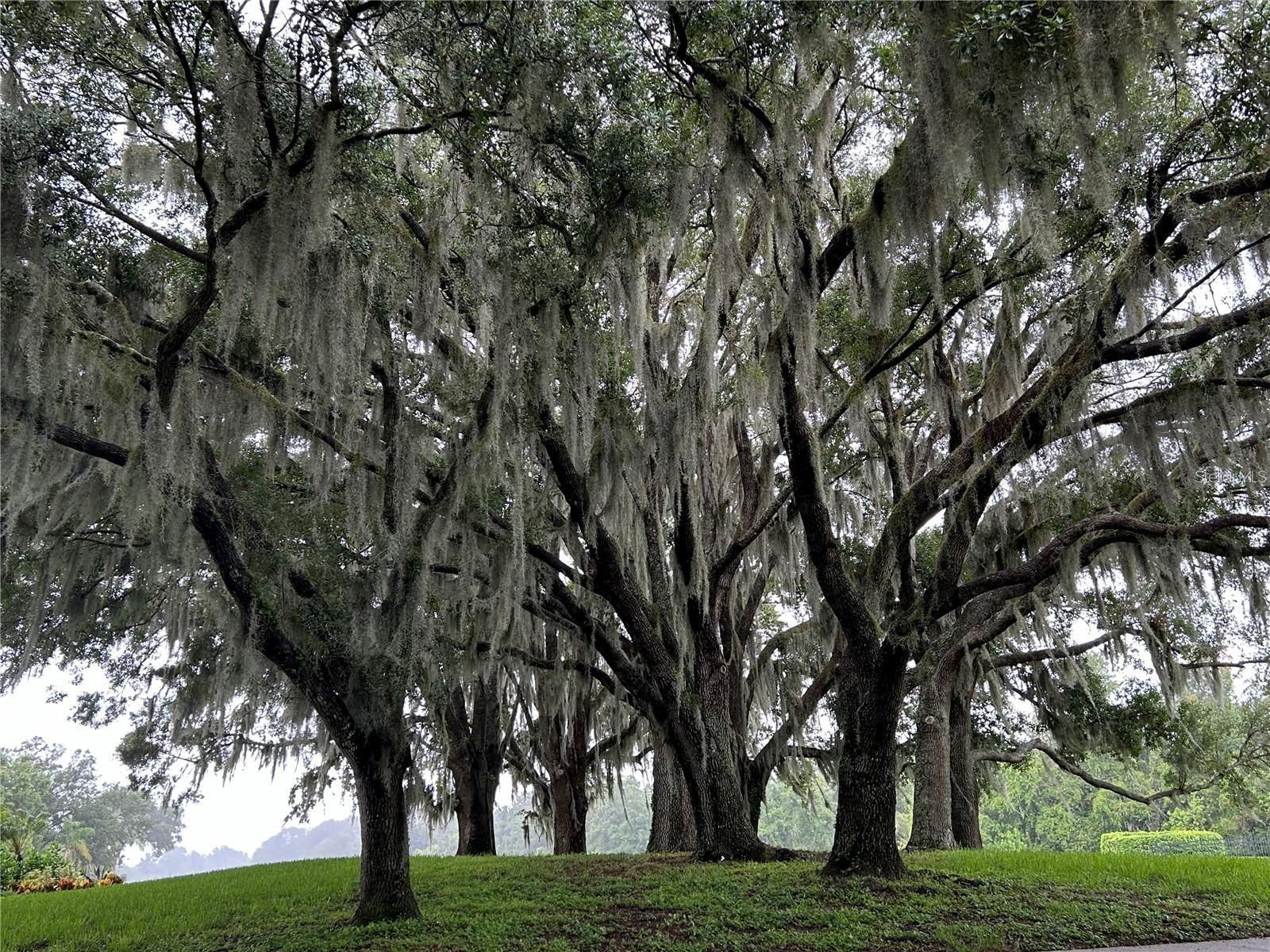 Image 52 of 53 For 4553 Charing Cross Road
