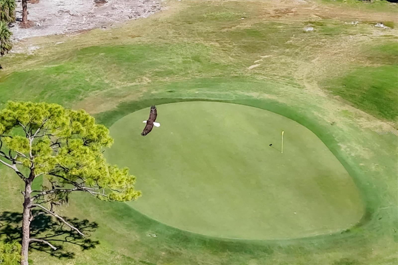 Image 52 of 77 For 4416 Calle Serena