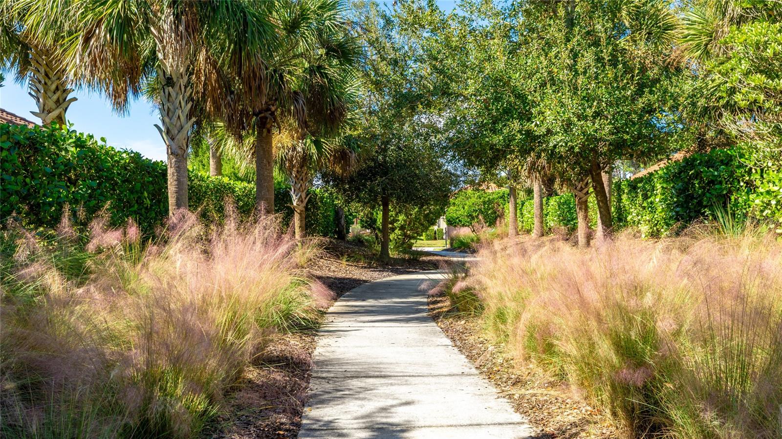 Image 90 of 90 For 5720 Semolino Street