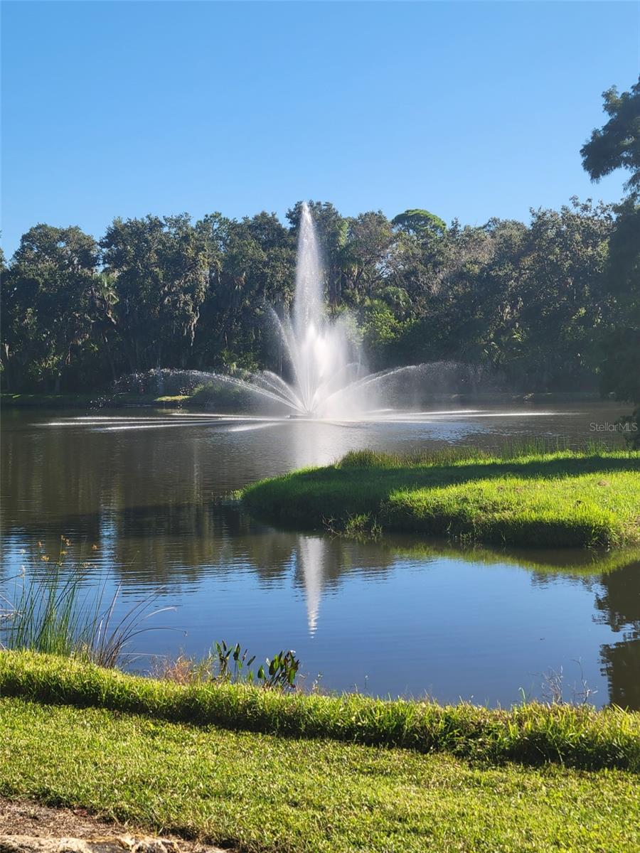 Image 32 of 32 For 3097 Willow Green 32