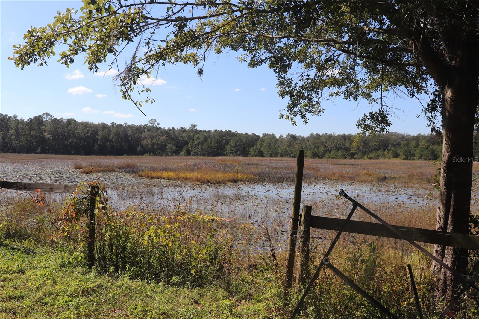 Image 5 of 15 For 14150 110th Avenue Road