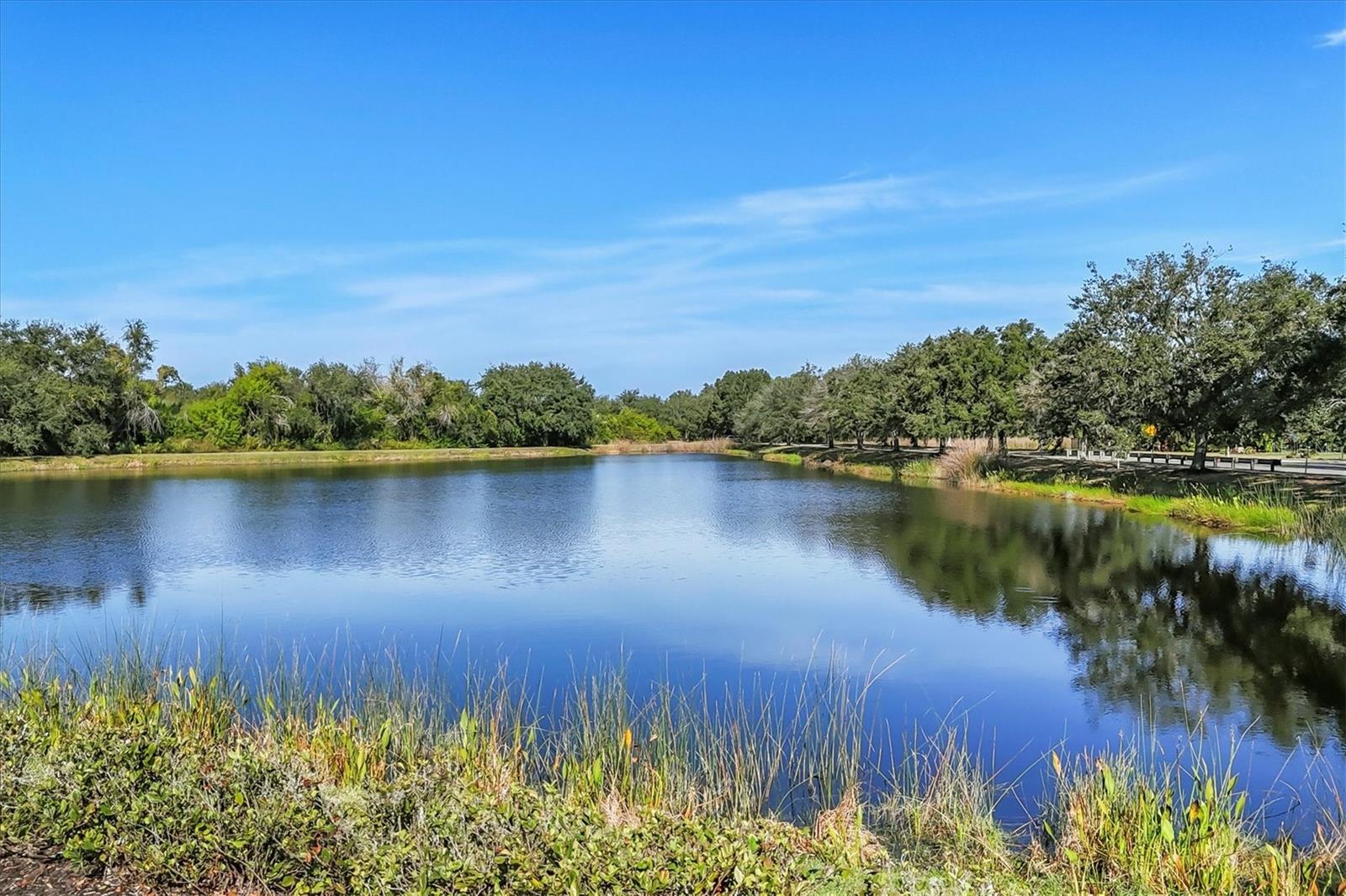 Image 46 of 64 For 13046 Peregrin Circle