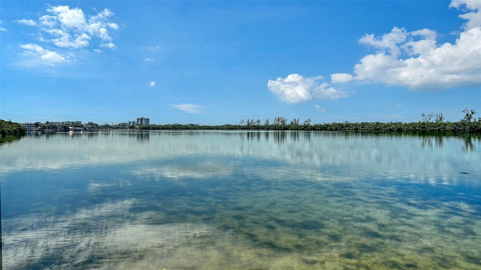 Image 54 of 66 For 340 Morningside Drive