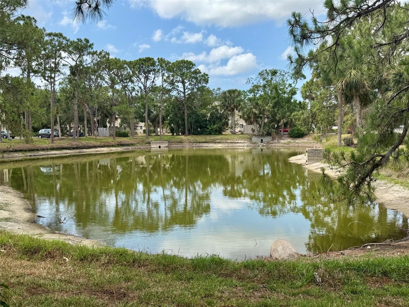 Image 28 of 28 For 4409 Longmeadow  41