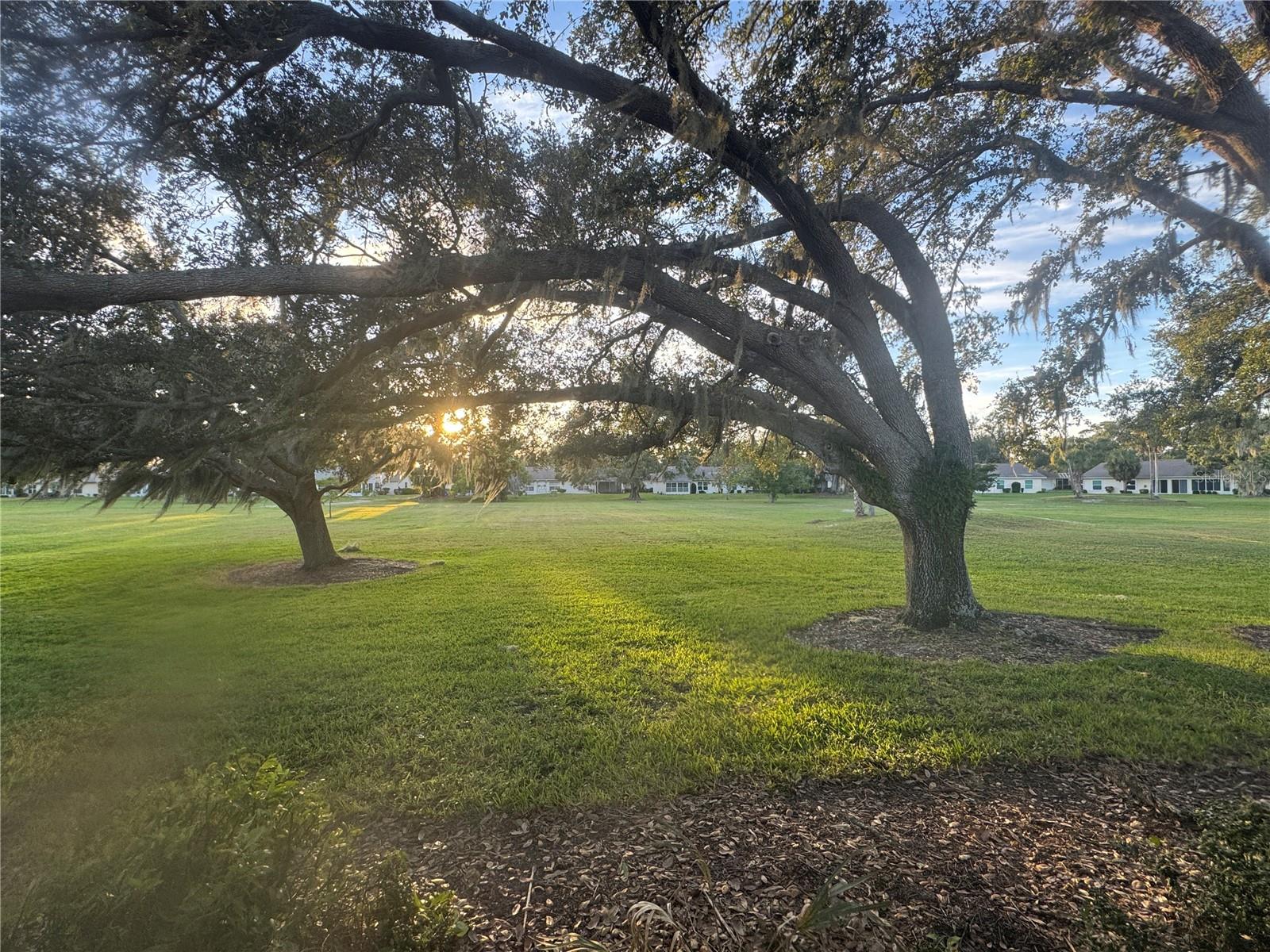 Image 30 of 50 For 3966 Oakhurst Boulevard 3103