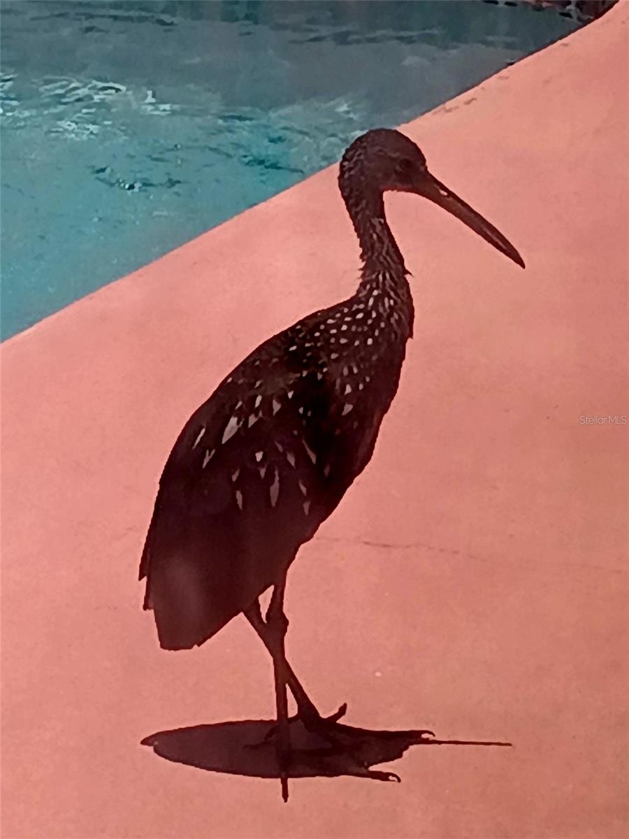 Image 15 of 61 For 3001 Eden Mills Dr