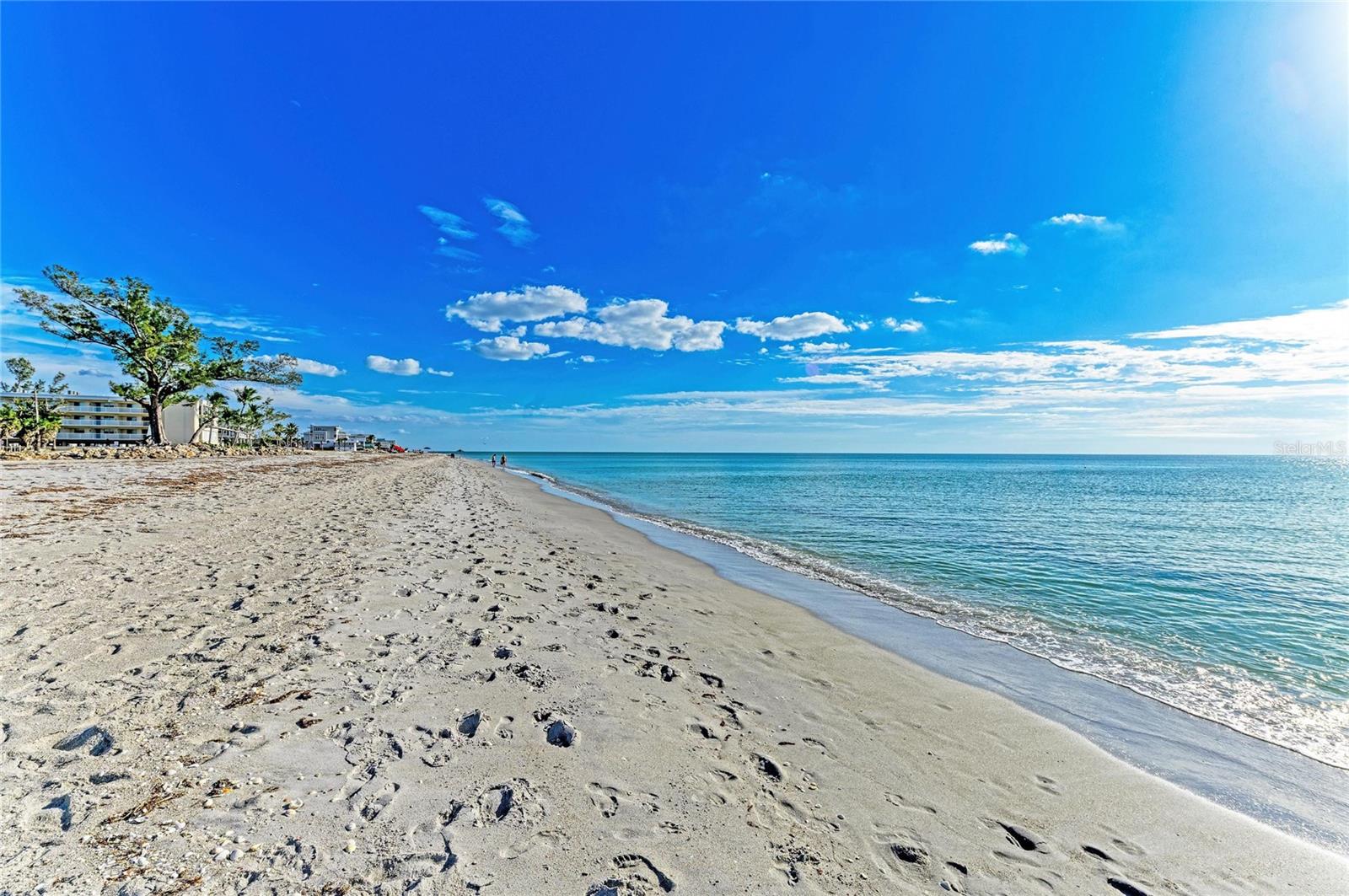 Image 36 of 42 For 45 Wilhelm Drive