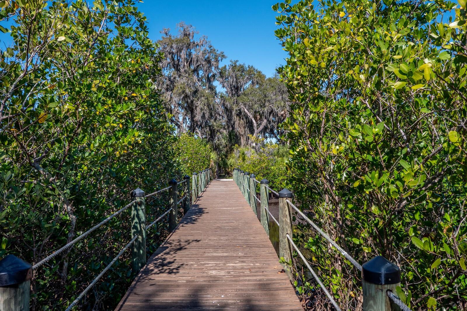 Image 33 of 37 For 525 Mast Drive