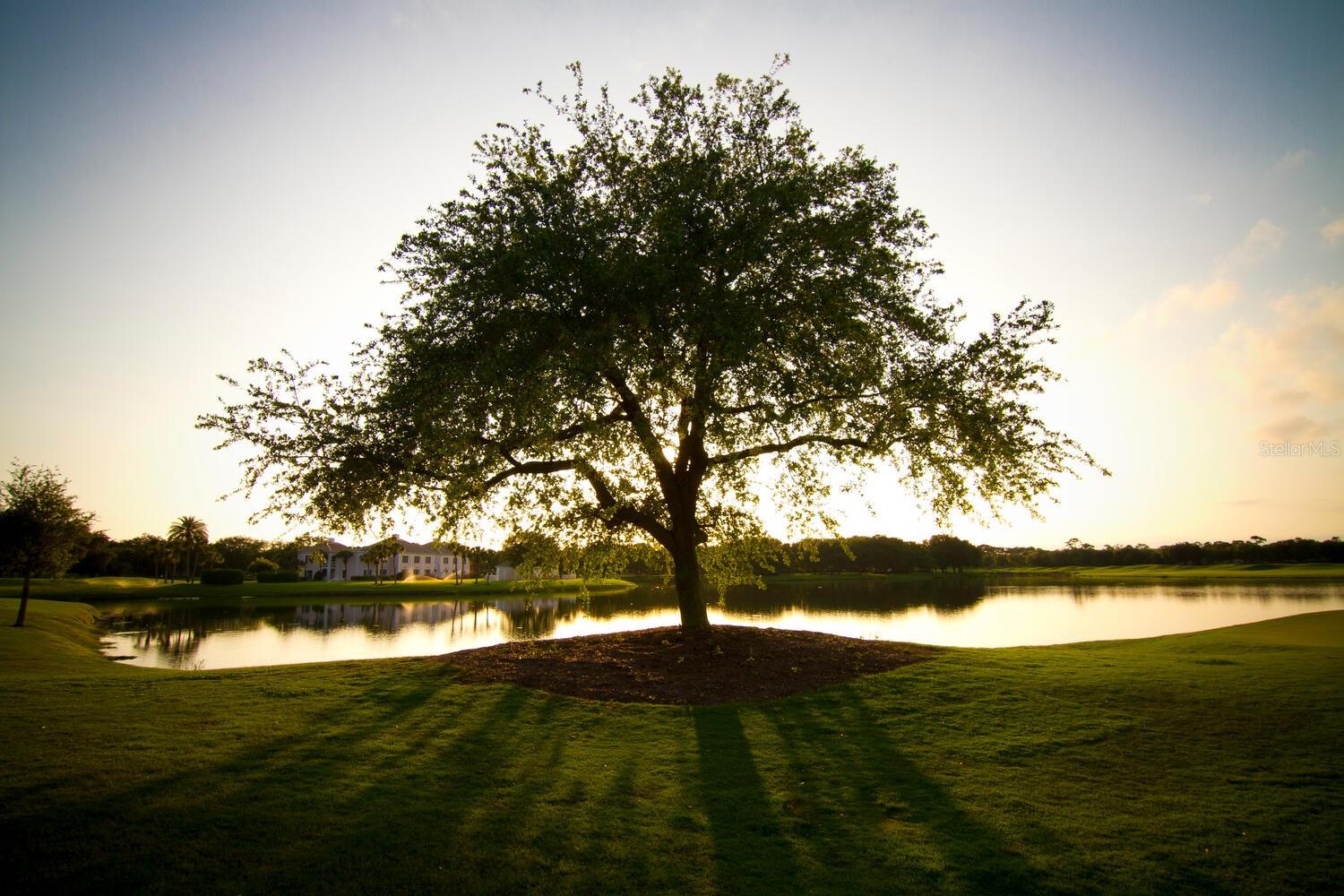 Image 93 of 96 For 49 Osprey Point Drive