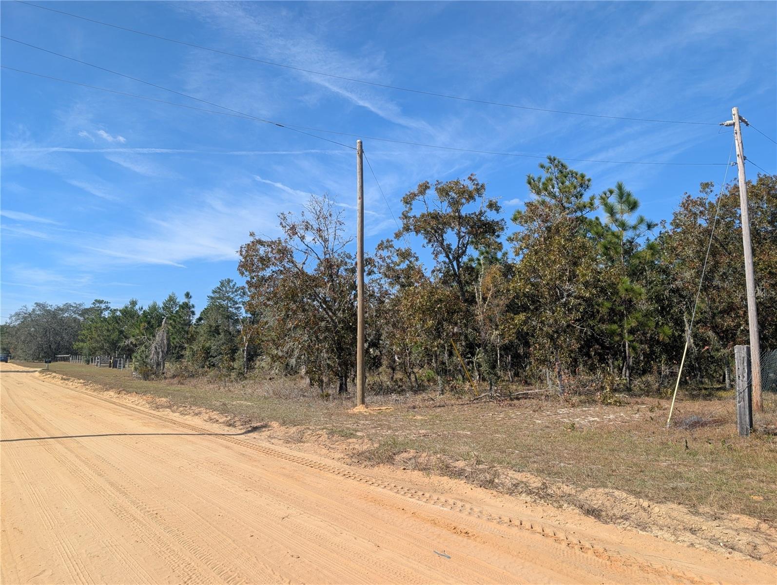 Image 11 of 21 For Poinciana Drive