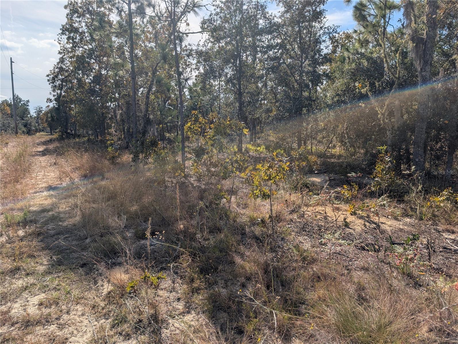 Image 12 of 21 For Poinciana Drive