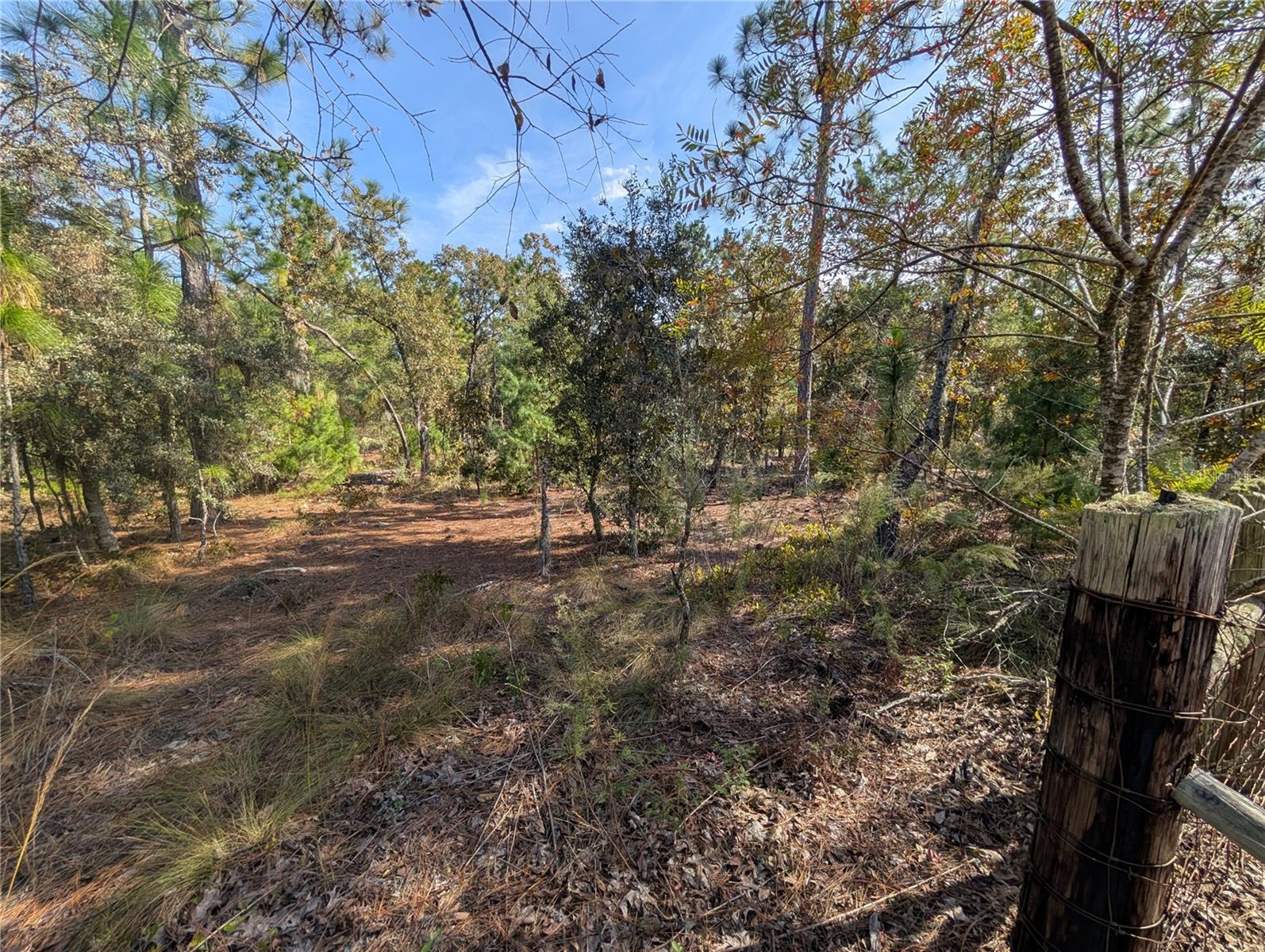 Image 15 of 21 For Poinciana Drive