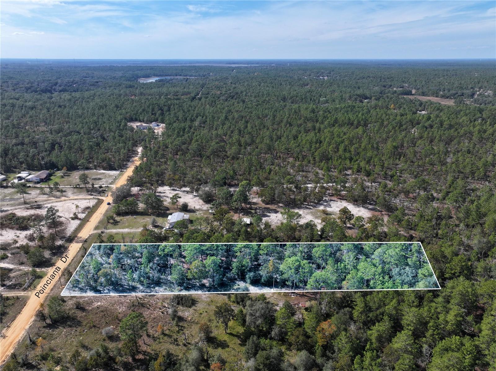 Image 3 of 21 For Poinciana Drive