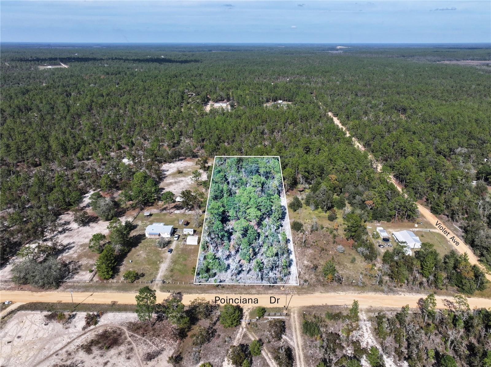 Image 4 of 21 For Poinciana Drive