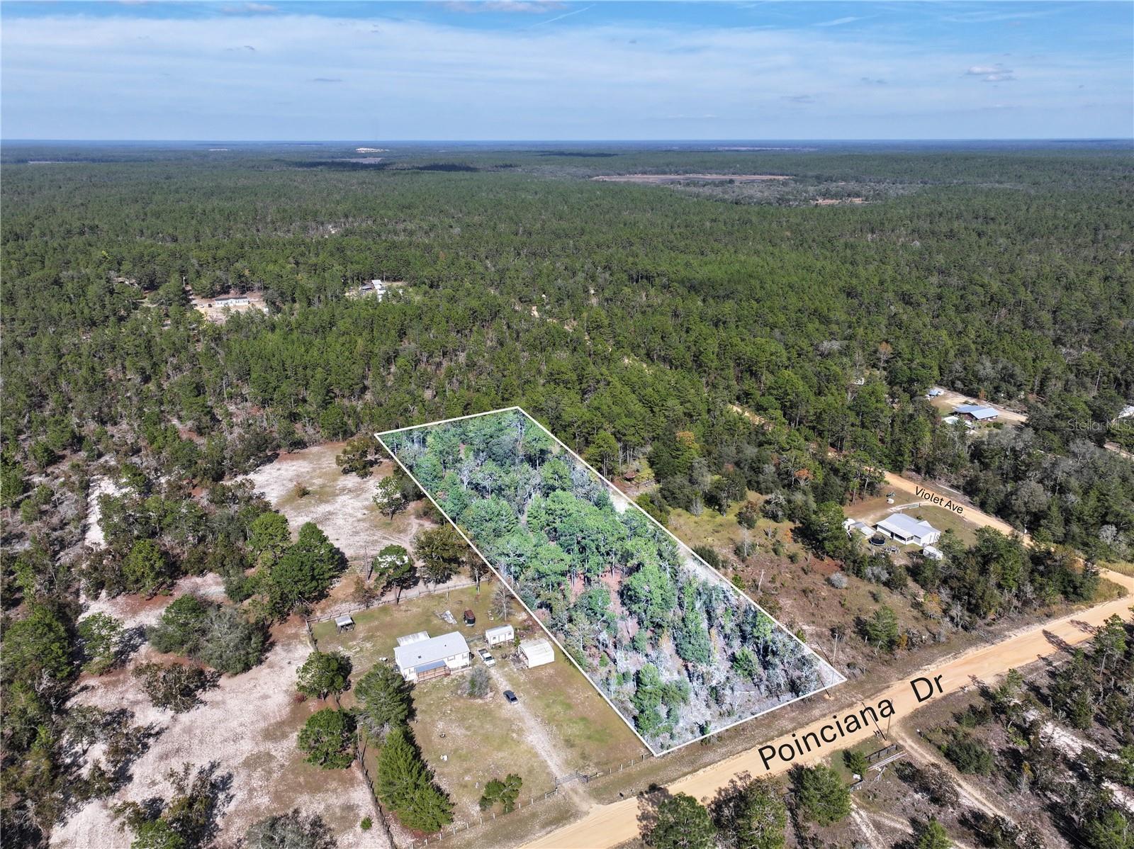 Image 6 of 21 For Poinciana Drive