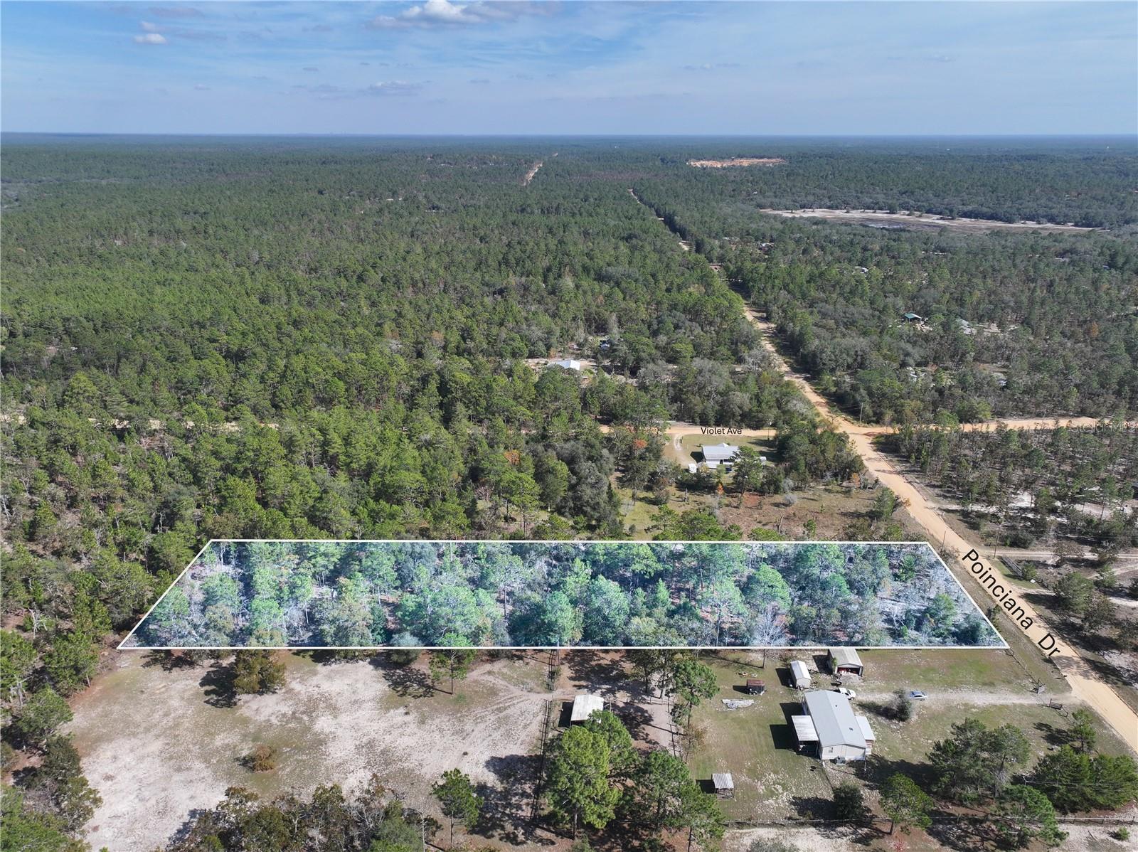 Image 7 of 21 For Poinciana Drive